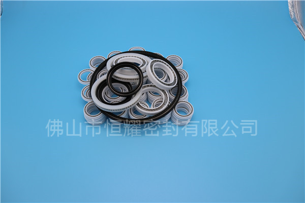 HOB、HVB孔用泛塞封 (6)