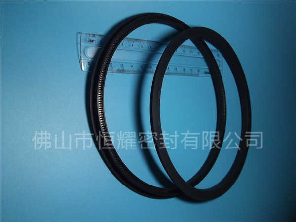 HOD、HVD旋轉(zhuǎn)泛塞封 (15)