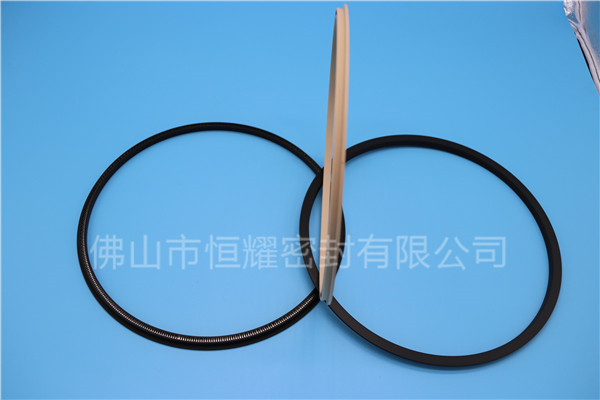 HOD、HVD旋轉(zhuǎn)泛塞封 (18)