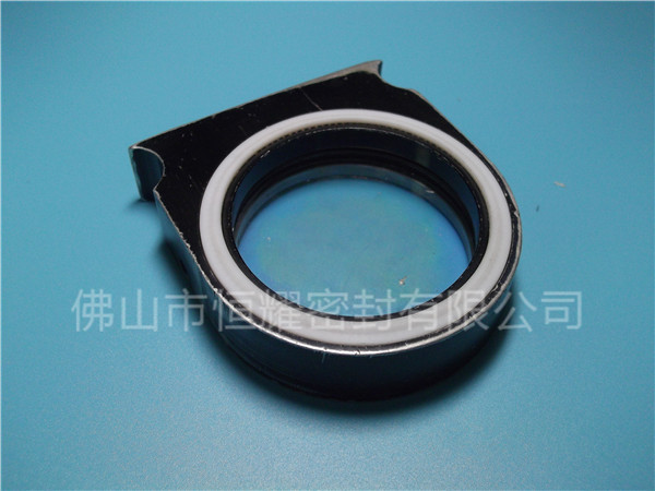 HVF、HVG端面內(nèi)、外向泛塞封 (2)