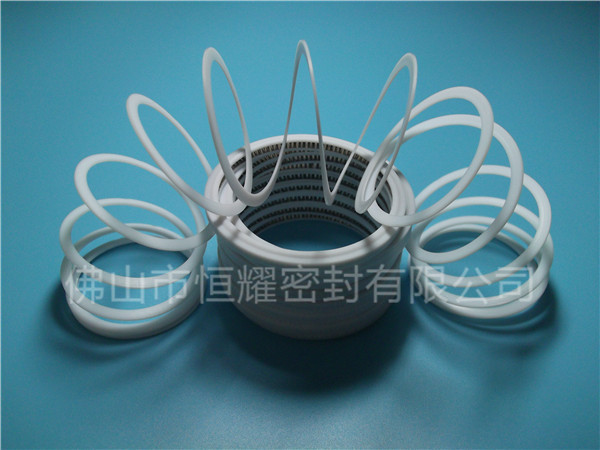 HVF、HVG端面內(nèi)、外向泛塞封 (7)