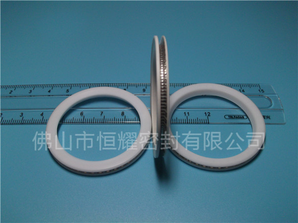 HVF、HVG端面內(nèi)、外向泛塞封 (10)
