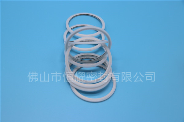 HVF、HVG端面內(nèi)、外向泛塞封 (15)
