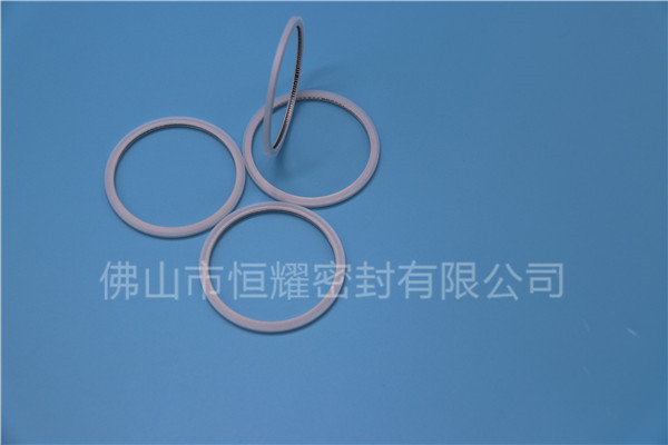 HVF、HVG端面內(nèi)、外向泛塞封 (20)