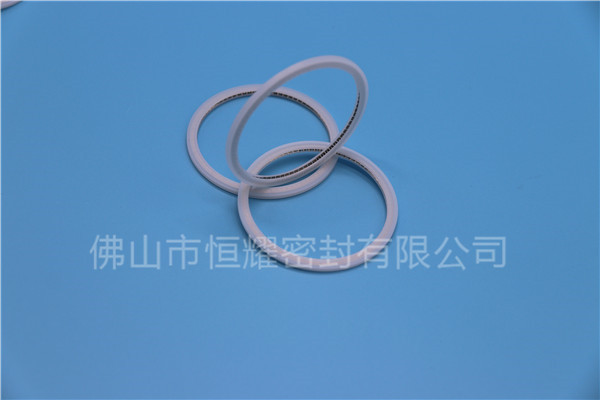 HVF、HVG端面內(nèi)、外向泛塞封 (21)