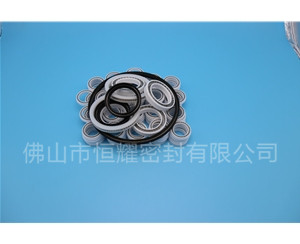 HOB、HVB孔用泛塞封 (6)