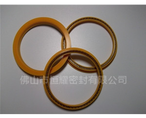 HOD、HVD旋轉泛塞封 (8)