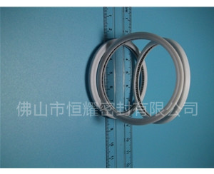HVF、HVG端面內(nèi)、外向泛塞封 (6)
