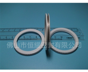 HVF、HVG端面內(nèi)、外向泛塞封 (10)