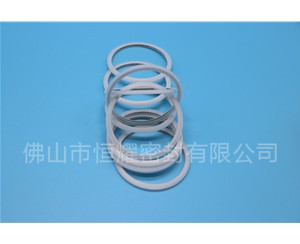 HVF、HVG端面內(nèi)、外向泛塞封 (15)