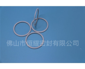HVF、HVG端面內(nèi)、外向泛塞封 (20)