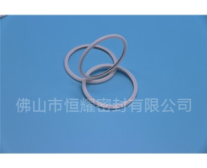 HVF、HVG端面內(nèi)、外向泛塞封 (21)